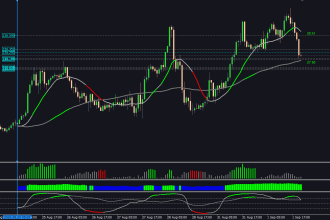 code flawless mql4 and mql5 indicators for mt4 mt5 metatrader mql