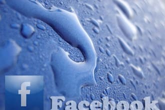 add 30+ USA facebook fans Georgia based mainly from Atlanta within 24 hours