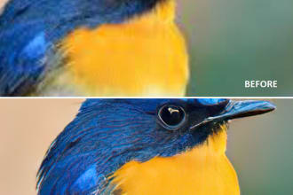 enhance 3 low quality photos, low res or blurred