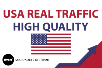 drive USA target website traffic with low bounce