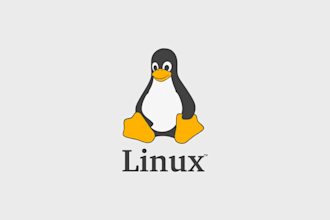 help to set up your server