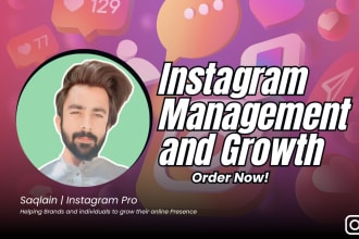 professionally grow and manage your instagram organically