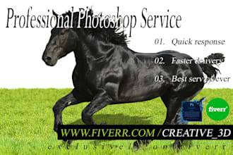 do any Graphics work
