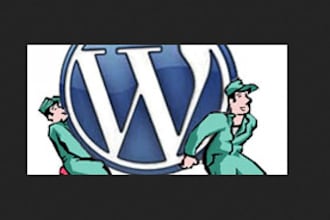 fix Your Wordpress CSS Bug, Any Wp Issue and fix themes