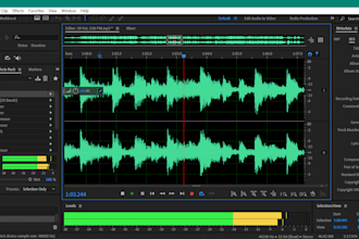 enhance your voice and edit audio