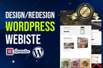 design or redesign wordpress website with elementor pro