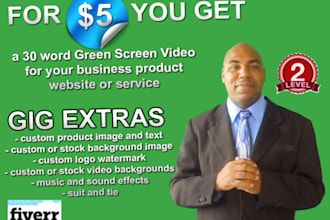 shoot 30 word video on a greenscreen background for your website product service