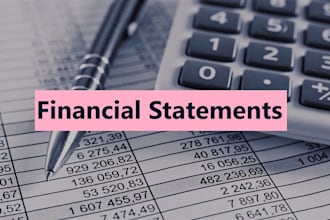 prepare financial statements, ratios analysis, and financial reviews