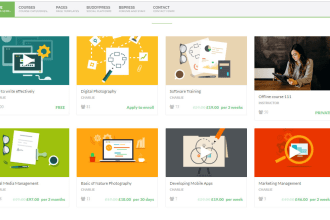 build modern custom lms website in wordpress