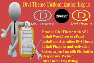 build website with divi theme customization, and fix issues