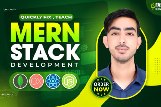 quickly fix teach or develop mern mongodb express node js react next typescript