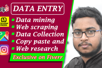 do data entry, data mining, web scraping, and web research