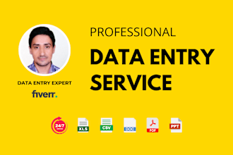 do excel data entry, copy paste, and typing work