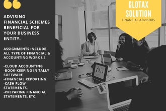 do accounting, financial consulting and reporting