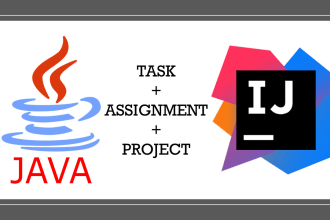accomplish your java task, assignment or project