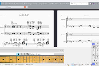 make your guitar tabs and sheetmusic tabs gpx, bb, msc, xml
