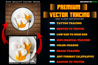 accurately vectorize  sketch, logo, image, drawings into HD