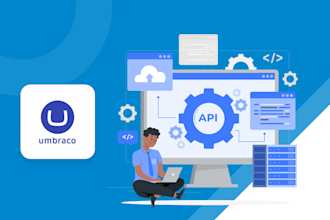 build umbraco cms and fix issues , create a custom dot net web site