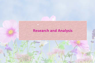 write articles and summaries like a professional writer