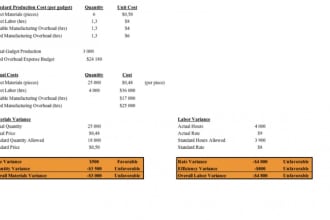 prepare thorough financial analysis and variance analysis