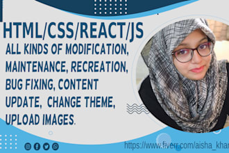 modificate, maintain, recreate, bug fixing in your web