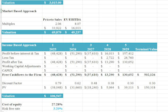 do business valuation, financial projections, equity pricing, dcf, startup value