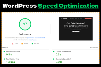 do wordpress speed optimization for google pagespeed insights within 24 hours