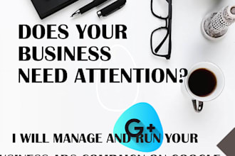 mange  and run your google ads campaign in your budget