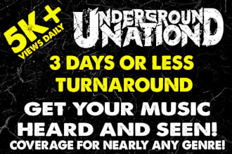 place your music or video on a popular music website