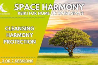 do distance reiki for space cleansing and protection