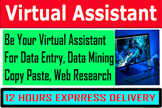 be an express data entry virtual assistant for your business