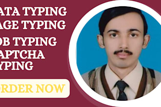 do amazing data typing or page typing job in 24 hours