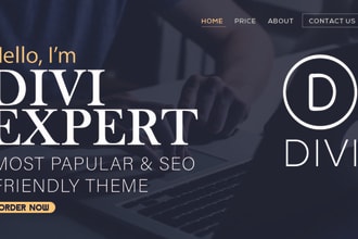 design and customization wordpress website using divi theme