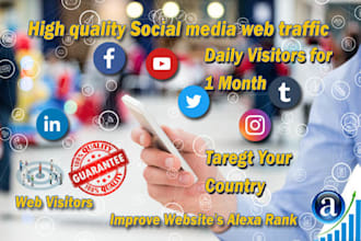 drive real website traffic from social media for 1 month