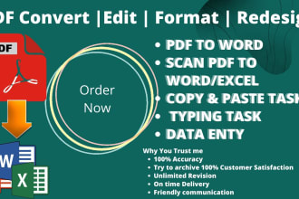 do pdf to word, pdf to excel, data entry, typing task