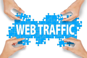drive adsense safe real human web traffic from USA