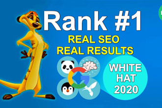 provide monthly on and off page SEO to rank your site