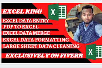 be your excel king do data entry,excel data merge,formatting