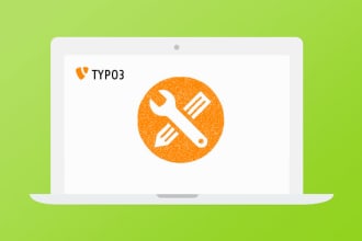 typo3 quick help , quick bug fixing