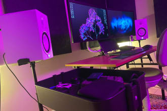professionally mix and master your song to industry standard quality