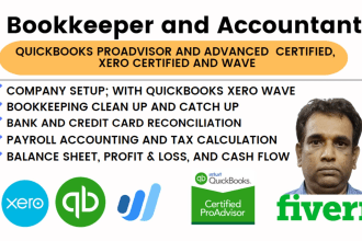 do your bookkeeping and using xero and quickbooks online