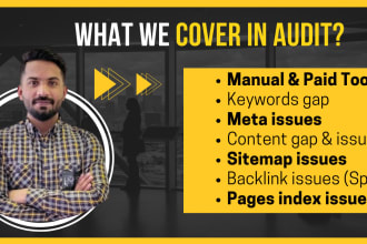 expert website SEO audit and competitor analysis