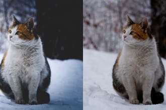 retouch any photo and transform it into a professional one