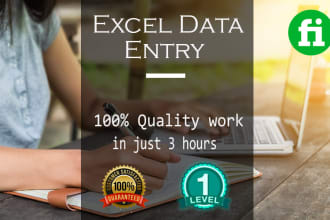 do excel data entry, web research, typing, copy paste