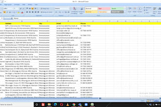 do data entry, pdf to excel, google docs