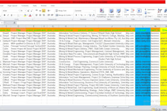 do excel data entry copy paste typing web research