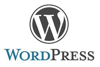 research and recommend the best 3 Wordpress Themes for you