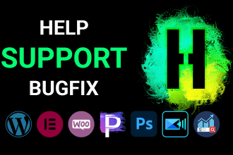 with wordpress bug fix and troubleshooting wordpress issues