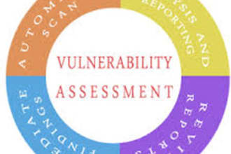 provide vulnerability assessment of web and mobile applications