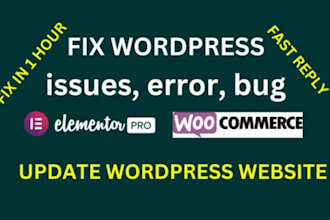 fix website issues and update your website